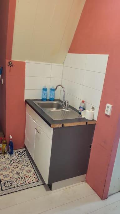 Grote Bovenwoning